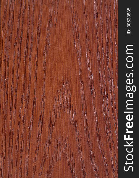 Wood Texture. Top view closeup