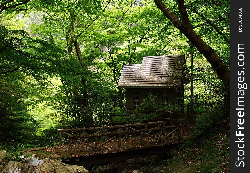 Photo of a small house in the woods