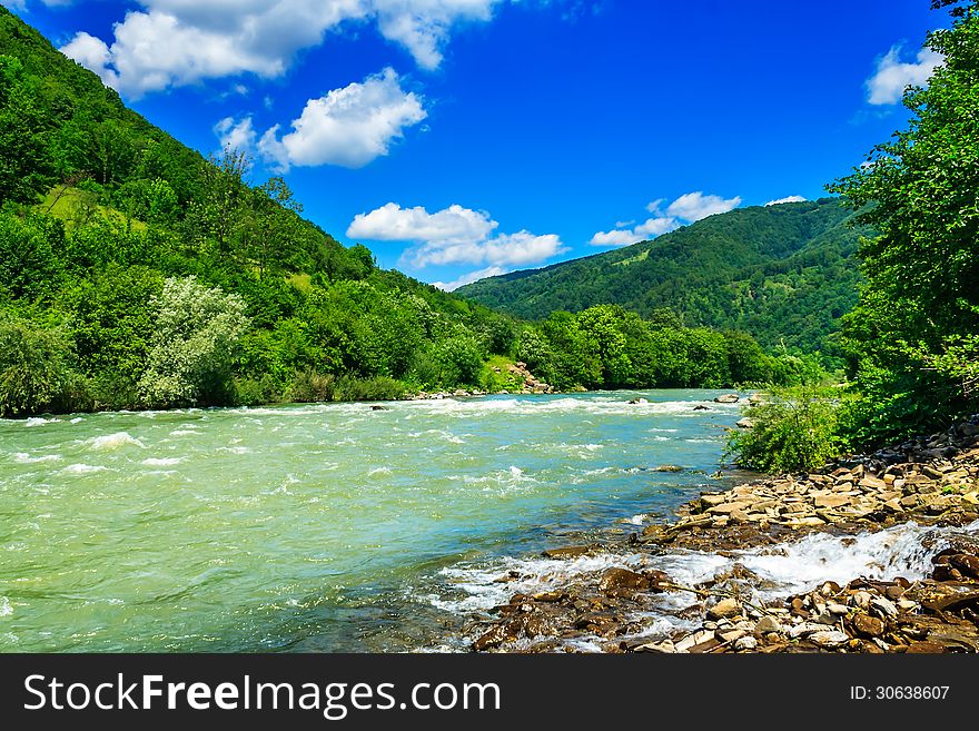 Wild Mountain River On A Clear Summer Day