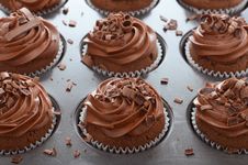 Chocolate Cupcakes With Swirl Frosting In Baking Pan Royalty Free Stock Photo