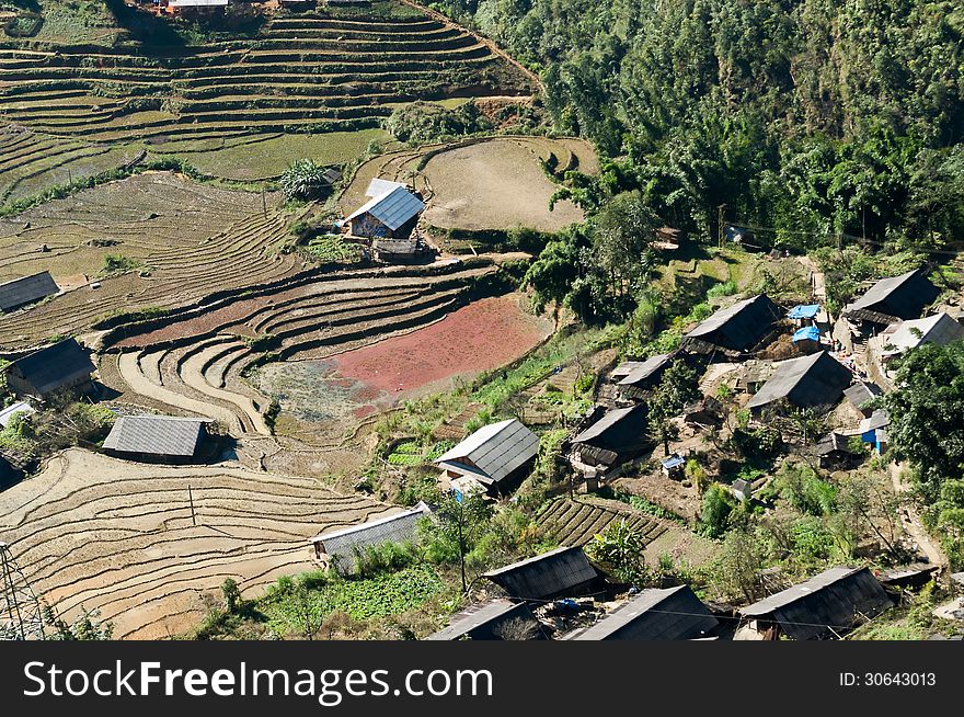 An aerial view of a small hmong village and Rice Paddy fields. Sapa. Vietnam