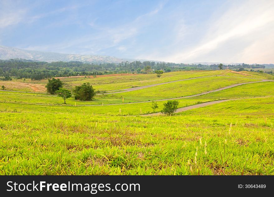 Summer landscape with green grass