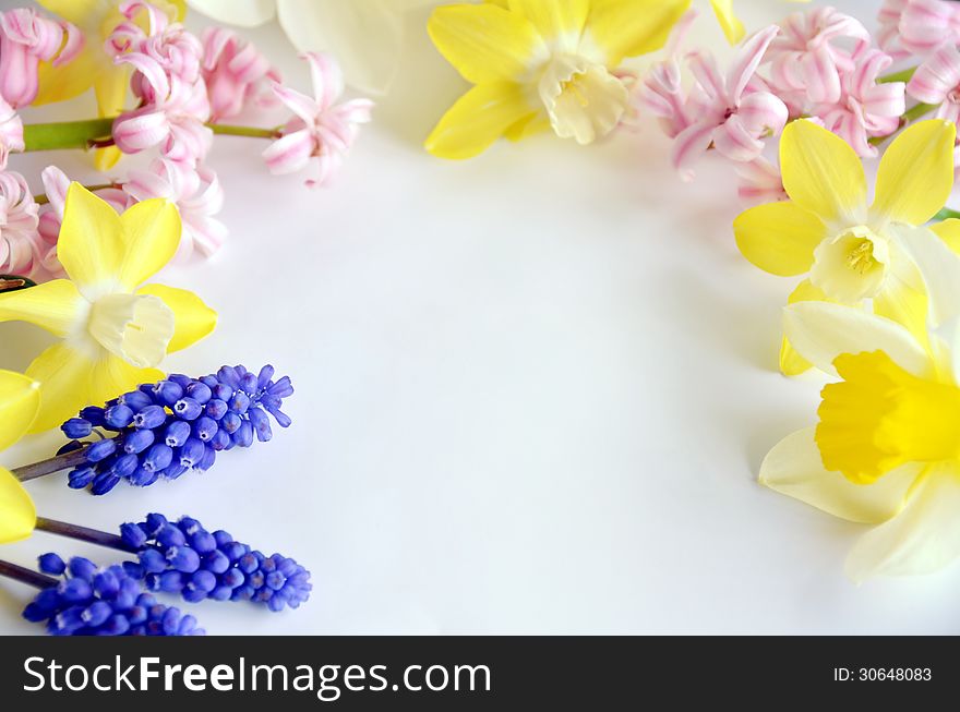 Frame of spring flowers on white background