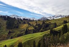 Beautiful Landscape With Alpine Meadows Royalty Free Stock Photo Beautiful Landscape With Alpine Meadows Royalty Free Stock Photo