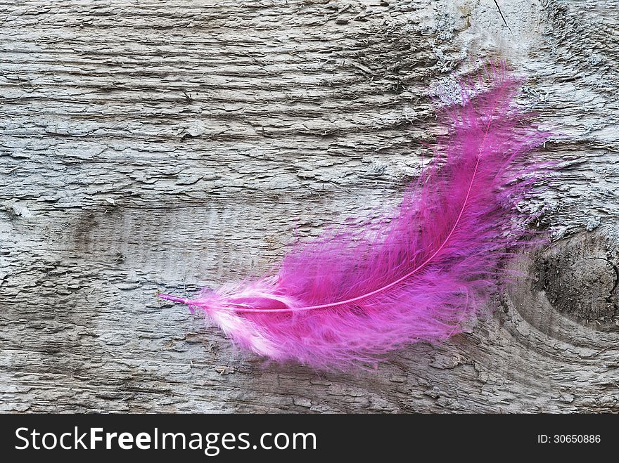 Pink fluffy feather on untreated wooden board. Pink fluffy feather on untreated wooden board