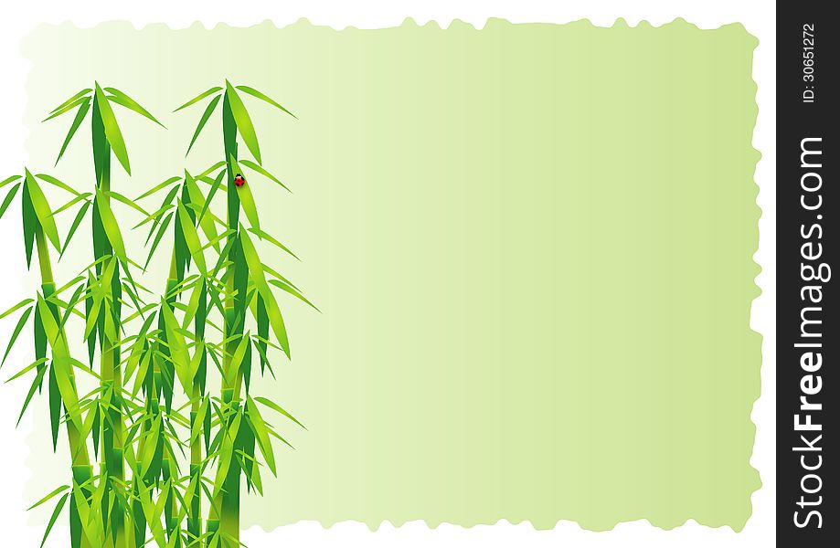 Bamboo decorative element vector background