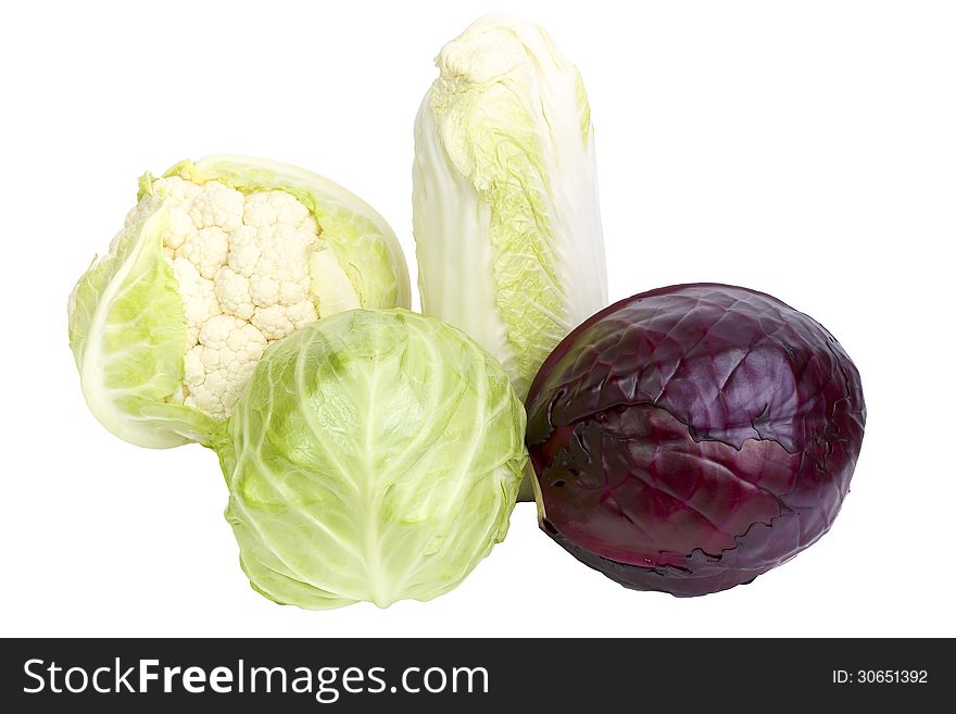 Four kinds of cabbage isolated on white background