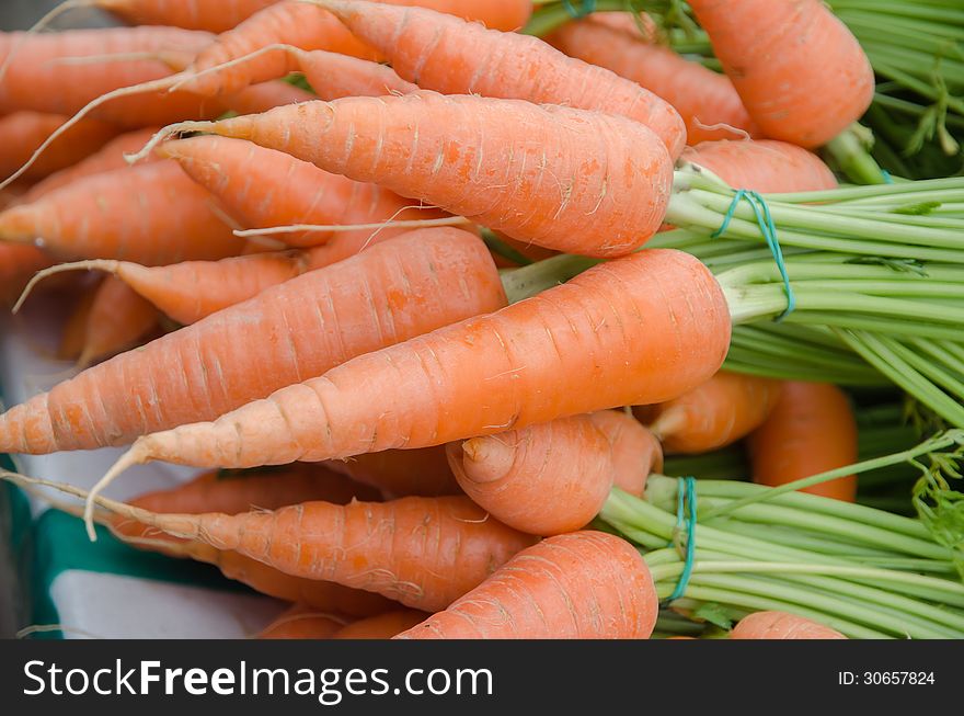 Fresh carrot in a market