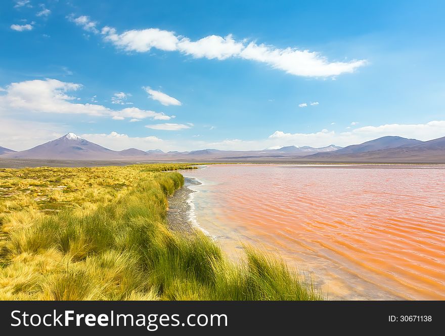 Bolivian altiplano landscape with coast of Laguna Colorada (Red Lagoon). Bolivian altiplano landscape with coast of Laguna Colorada (Red Lagoon)