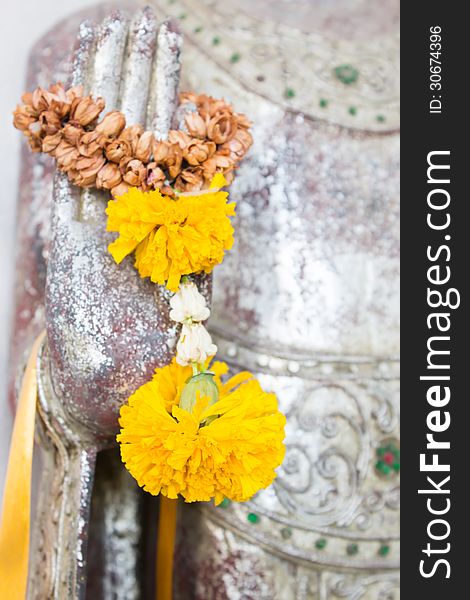 Flower On Buddha Hand ,Close Up,Thailand