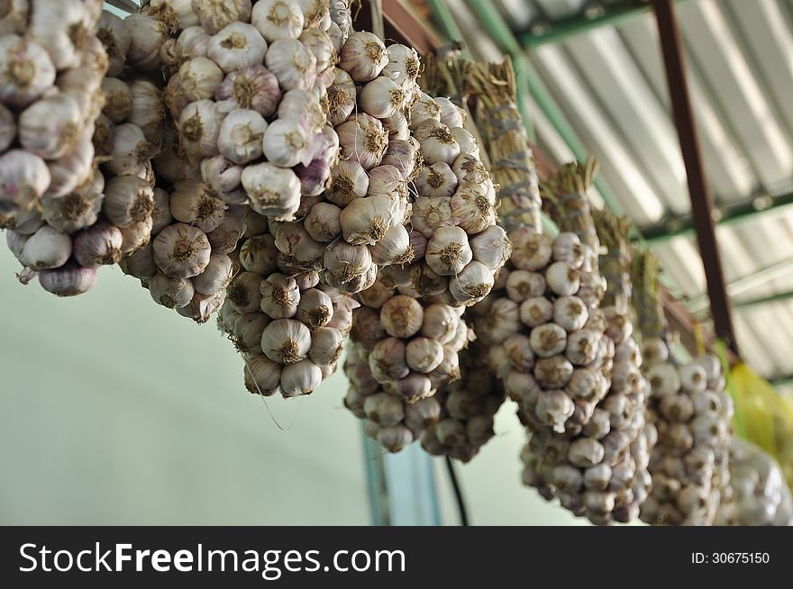 Garlic fruits on the bunches hanging on the beam