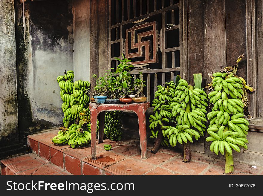 These fruits and trees are selling in front of the farmers house. These fruits and trees are selling in front of the farmers house