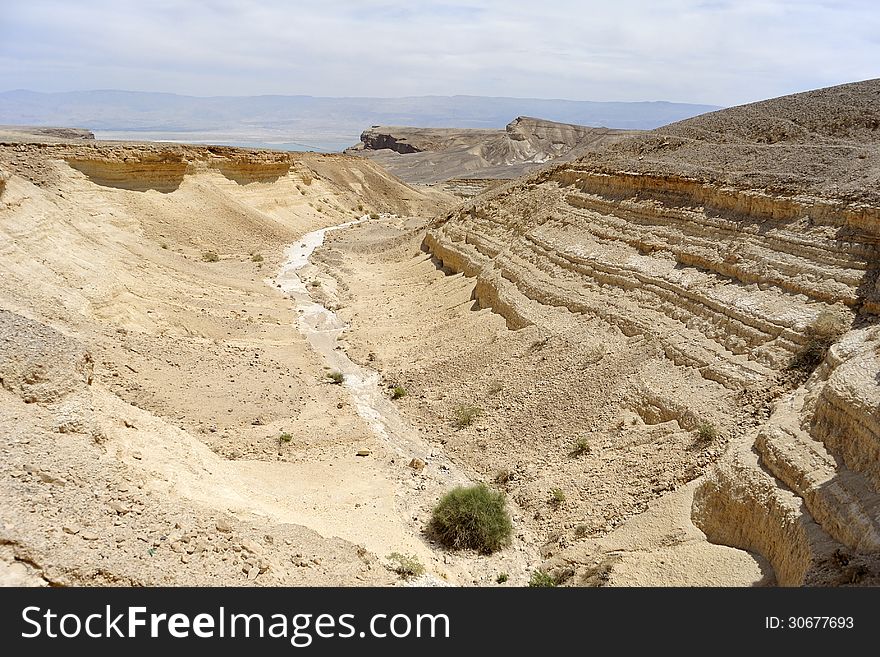 Dry wadi in Judea desert near Dead sea, Israel. Dry wadi in Judea desert near Dead sea, Israel