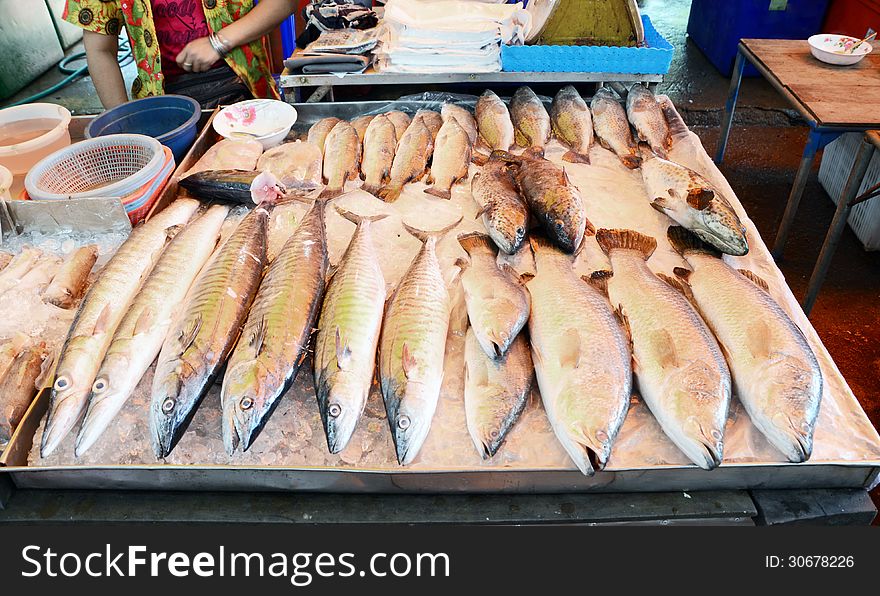 Variety of fresh fish seafood in market, thailand