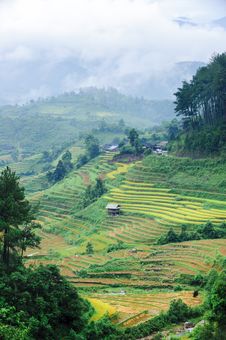 Stilt House On The Rice Terraced Field With The Mountains And Clouds Royalty Free Stock Photography Stilt House On The Rice Terraced Field With The Mountains And Clouds Royalty Free Stock Photography