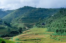 Houses Of The Farmers On Top Of The Hill With The Rice Fields Stock Photos Houses Of The Farmers On Top Of The Hill With The Rice Fields Stock Photos