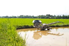 Plow Fields In Farm Rice On Blue Sky. Royalty Free Stock Images Plow Fields In Farm Rice On Blue Sky. Royalty Free Stock Images