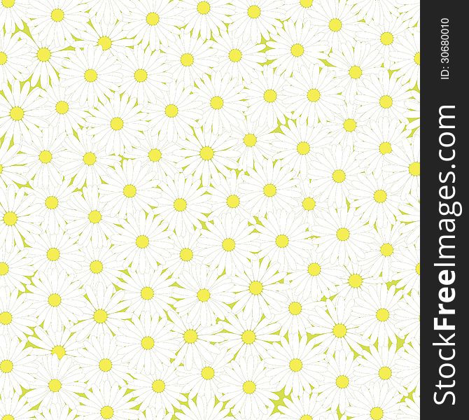 Floral seamless pattern with chamomiles. Floral seamless pattern with chamomiles