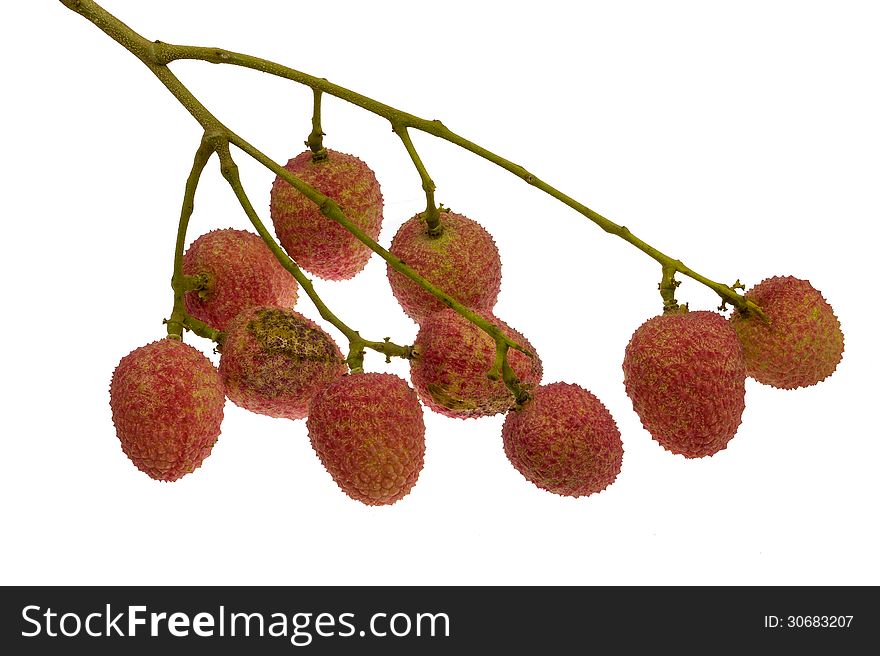 Isolated the Bouquet of lychees