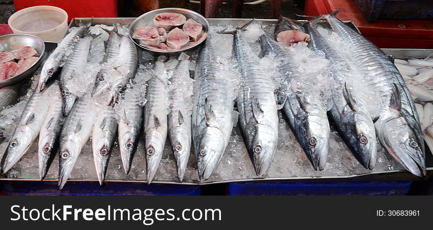 Variety of fresh fish seafood in market