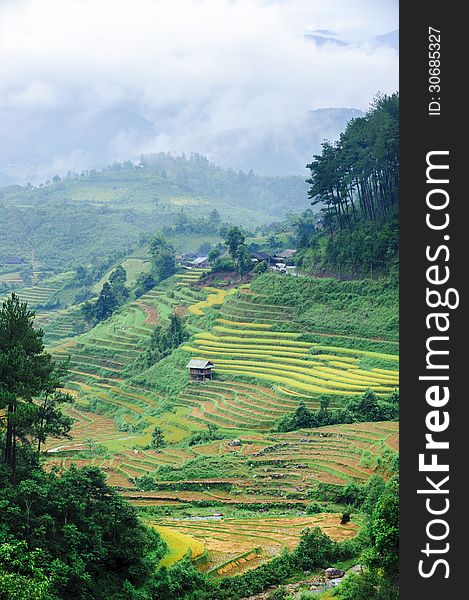 Stilt house on the rice terraced field with the mountains and clouds at background