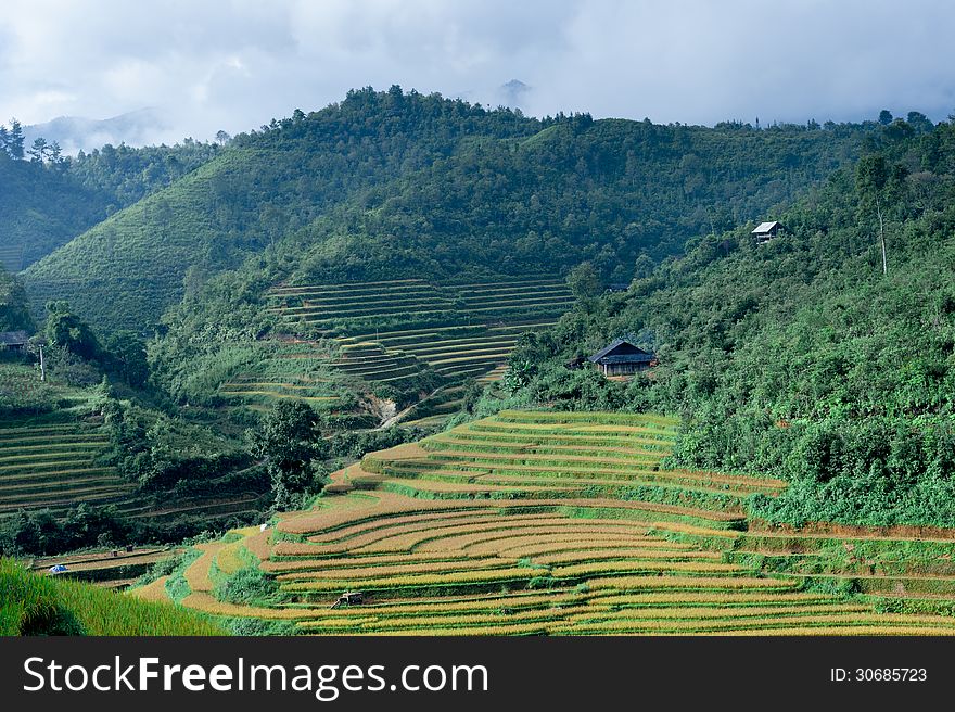 Houses of the farmers on top of the hill with the rice fields in Sa Pa, Vietnam. Houses of the farmers on top of the hill with the rice fields in Sa Pa, Vietnam