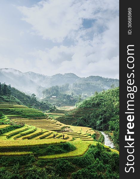 Rice terraces with mountains and clouds at background