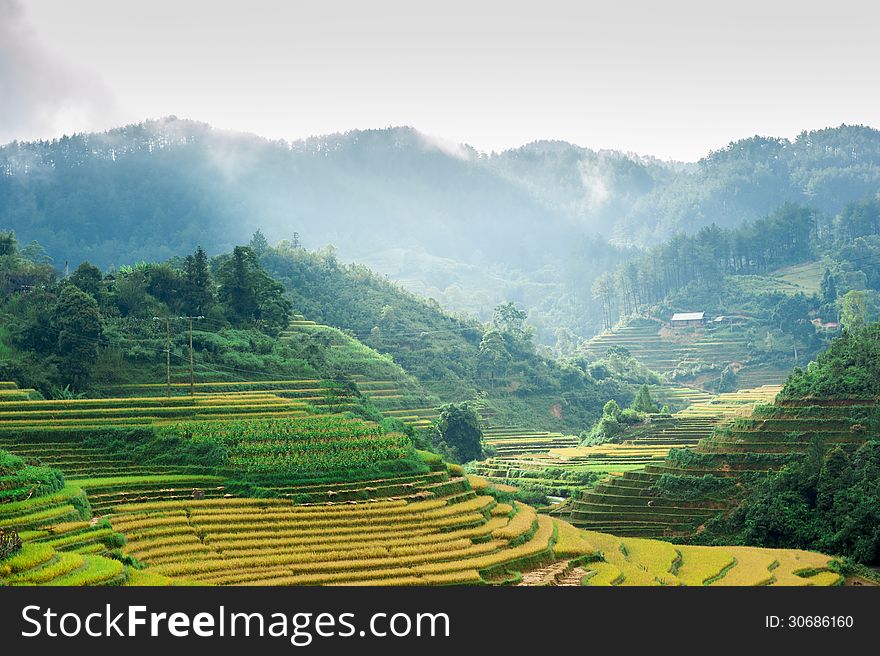 Hils of rice terraced field with mountains and clouds at backgro