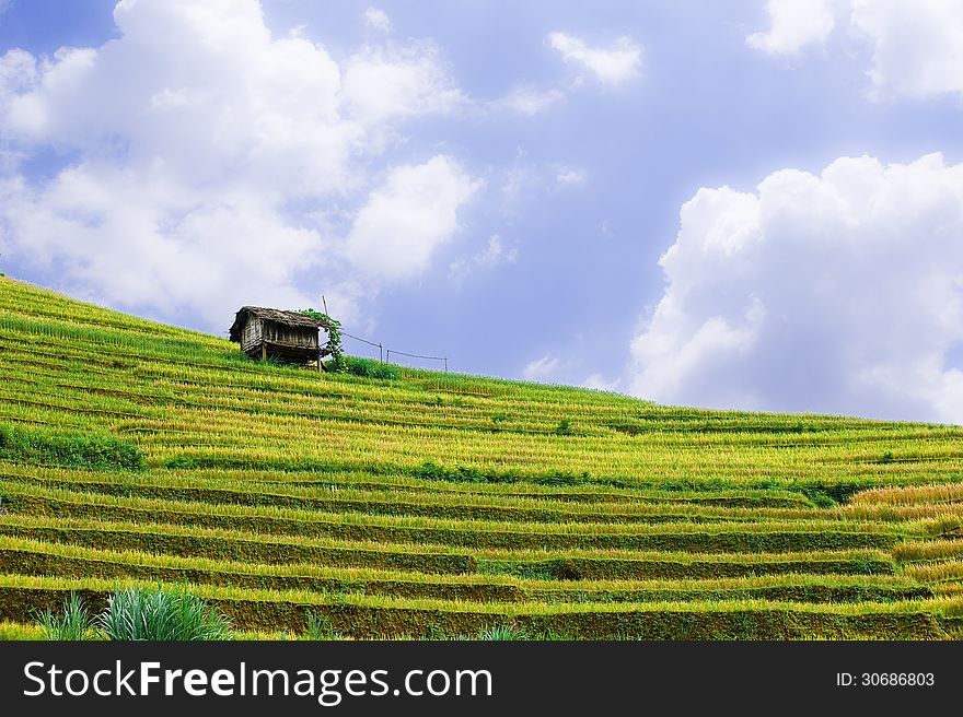 Stilt House On Top Of Hill With The Rice Fields