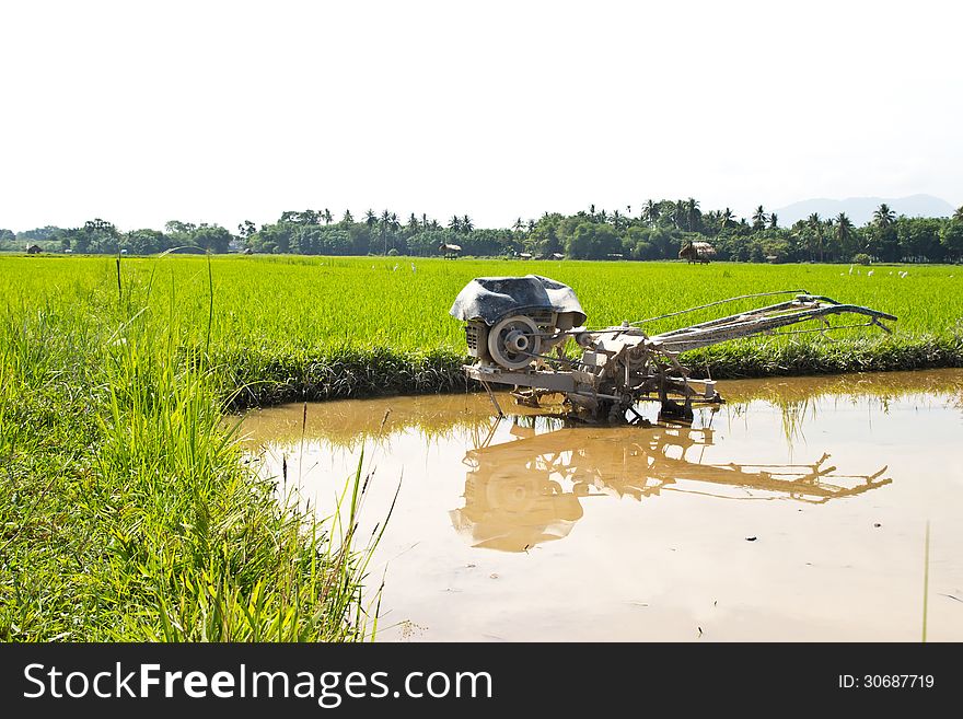 Plow Fields In Farm Rice On Blue Sky.