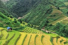 Stilt House On The Rice Terraces Field Royalty Free Stock Image Stilt House On The Rice Terraces Field Royalty Free Stock Image