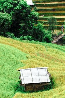 Stilt House On The Rice Terraced Field With River And Wooden Bridge Royalty Free Stock Image Stilt House On The Rice Terraced Field With River And Wooden Bridge Royalty Free Stock Image
