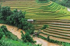 Stilt House On The Rice Terraced Field With River And Wooden Bridge Stock Photo Stilt House On The Rice Terraced Field With River And Wooden Bridge Stock Photo