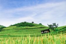 Hill Of Rice Terrace Fields And Stilt House Stock Photo Hill Of Rice Terrace Fields And Stilt House Stock Photo