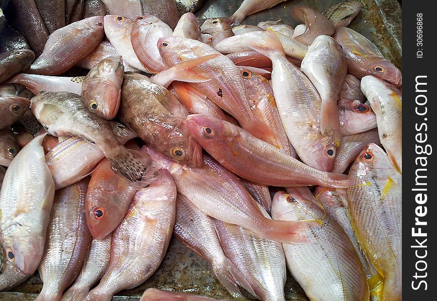 Fish On Street Market