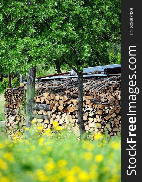 Cut wood storing in countryside. Cut wood storing in countryside