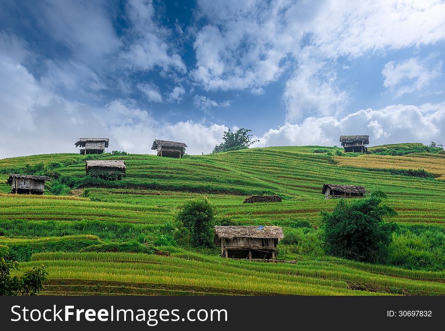 Stilt houses on the hill of rice terraced fields in Mu Cang Chai, Vietnam