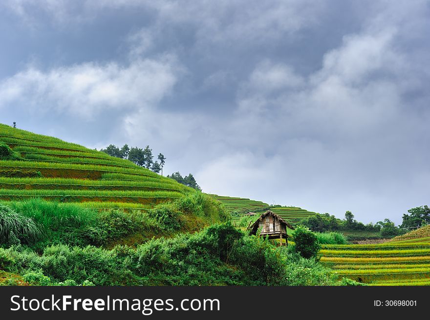 Stilt house on the rice terraced field with the sky and clouds at background