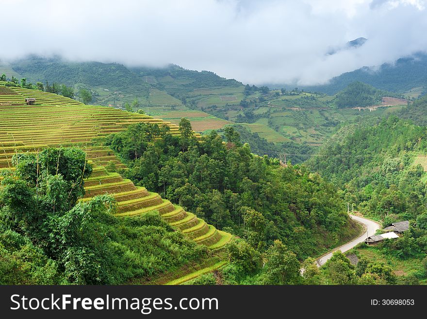 Hils of rice terraced field with mountains and clouds at background