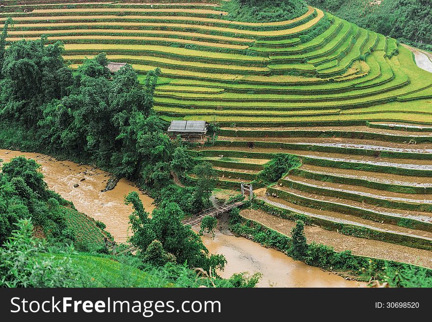 Stilt house on the rice terraced field with river and wooden bridge in Mu Cang Chai, Vietnam