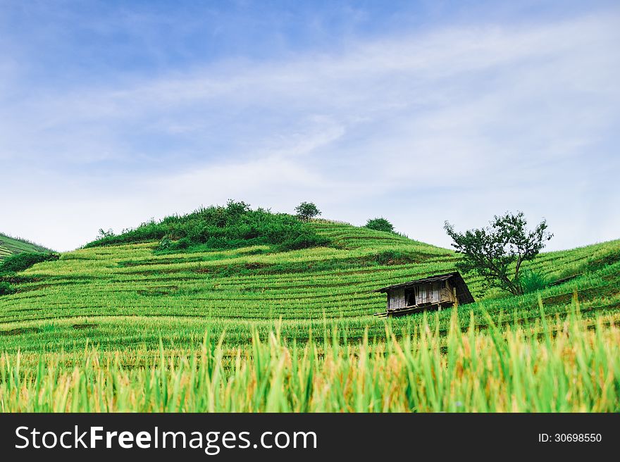 Hill Of Rice Terrace Fields And Stilt House