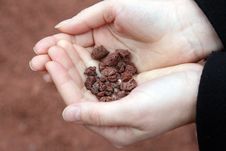 Hands Holding Volcanic Stones Stock Photos Hands Holding Volcanic Stones Stock Photos