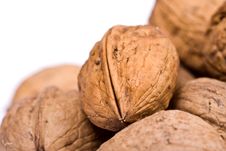 Walnuts Close Up Isolated Stock Images Walnuts Close Up Isolated Stock Images