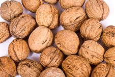 Walnuts Close Up Isolated Stock Image