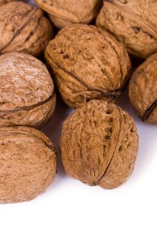 Walnuts Close Up Isolated Stock Photography Walnuts Close Up Isolated Stock Photography