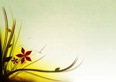 Floral Background Stock Images Floral Background Stock Images