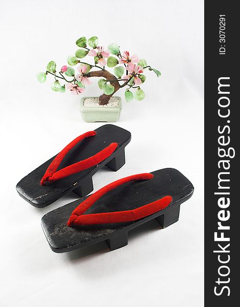 Pair of Japanese Shoes and Bonsai Tree