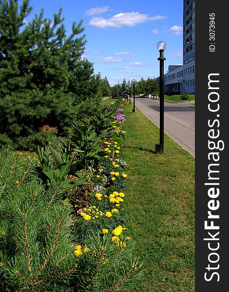 Street in a sunny day with lanterns and flowers on the side of a road. Street in a sunny day with lanterns and flowers on the side of a road