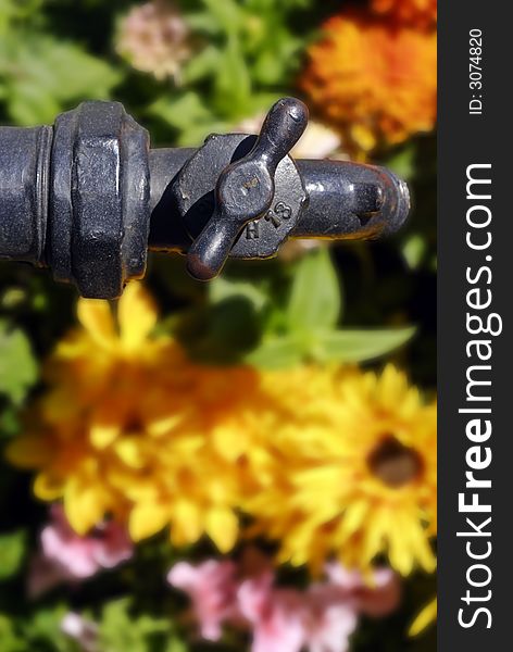 Antique iron water spigot above a bed of flowers. Antique iron water spigot above a bed of flowers