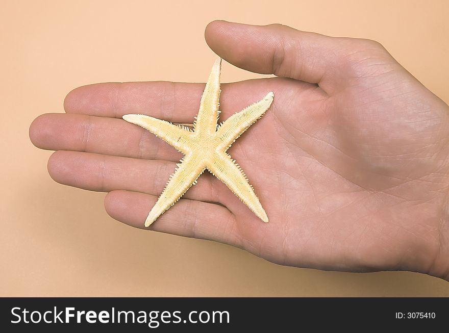 Starfish on a palm on a light background